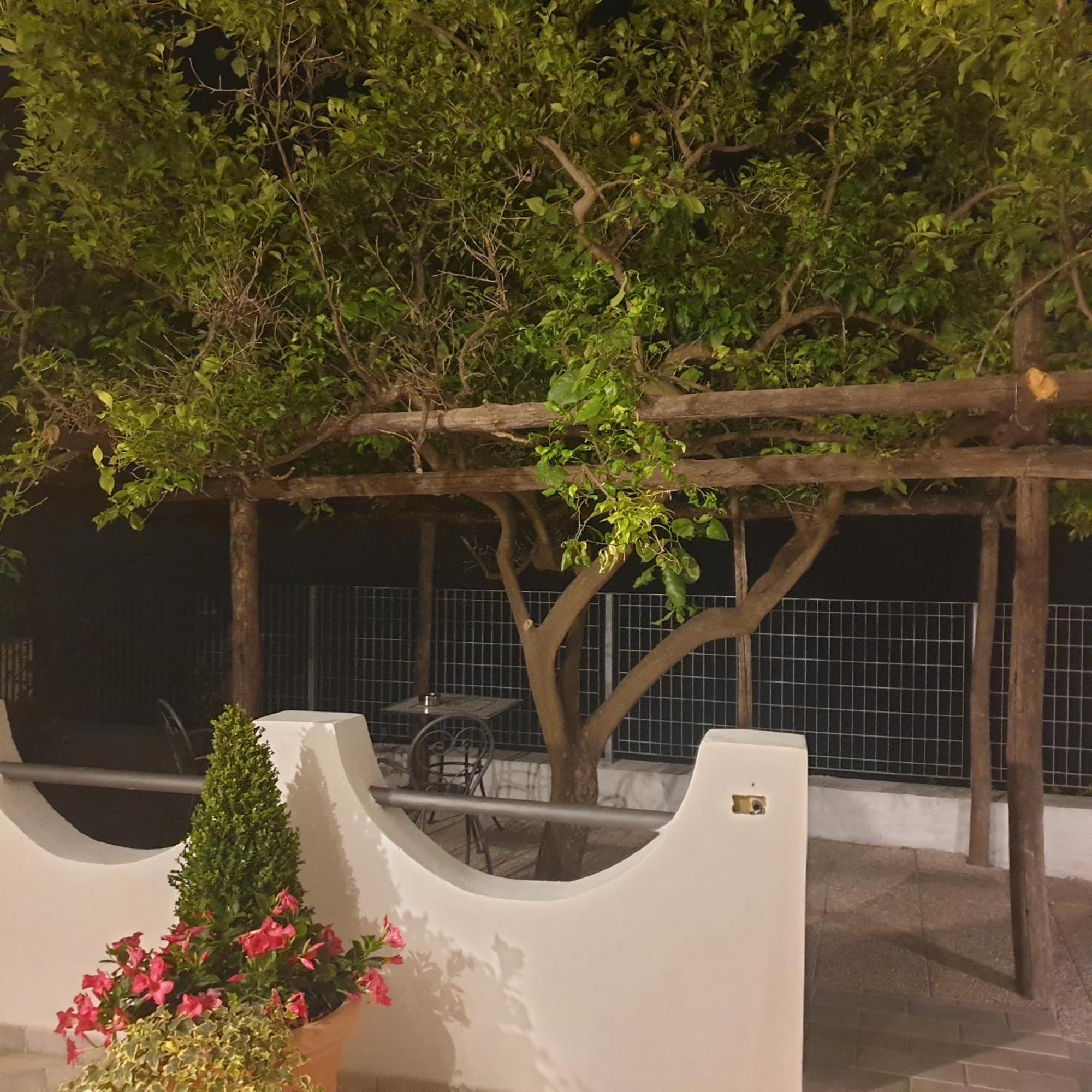 Villa Pino Фуроре Экстерьер фото